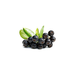 Aronija 1 kg