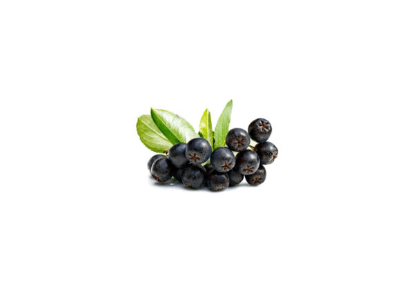 Aronija 3 kg