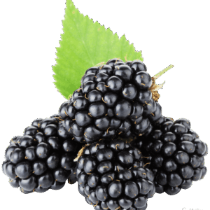 Kupina 1 kg