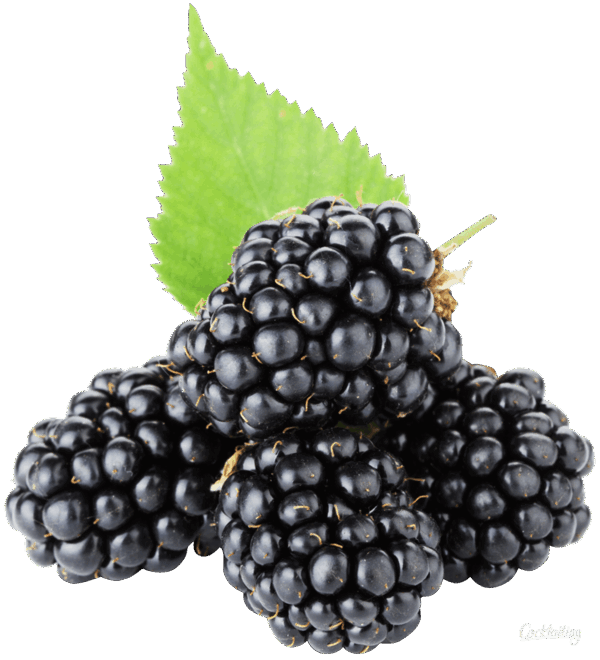 Kupina 1 kg